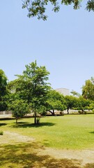 Pakistani Universities are Beautiful: They Have Greenery and Nature Views That Look Amazing.