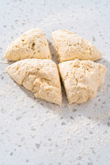 Homemade naan dippers