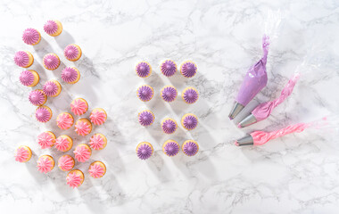 Mini Vanilla Cupcakes with Pink Buttercream Frosting