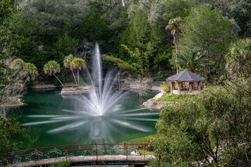 Fototapeta premium natural florida
