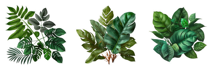 Realistic, dense tropical leaf assortment with varied shapes and sizes on a clear, invisible backdrop.