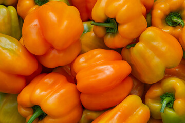 Juicy orange sweet peppers have just been picked and lie on the table as a background.