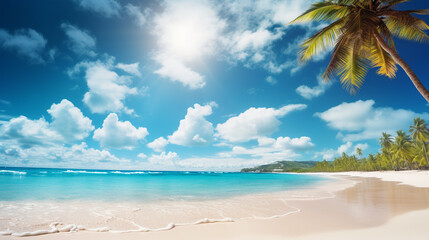 Fototapeta na wymiar panorama of a tropical beach with palm trees