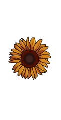 Blooming in Brilliance: A Stunning Vector Illustration of a Sunflower, Isolated on a White Canvas