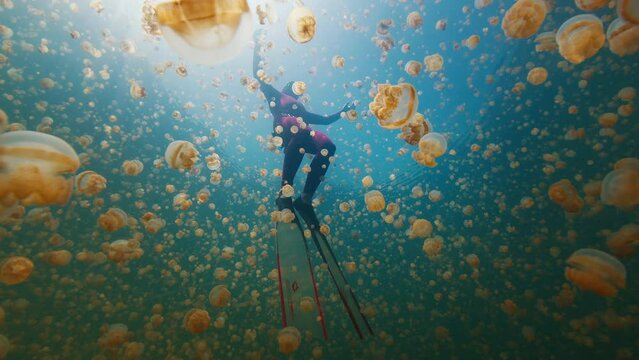 Freediver swims in the lake full of stingless jellyfish. West Papua, Misool, Indonesia