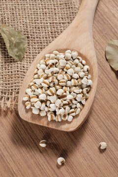 Images of Coix seeds, dietary grains, vegetarian foods, high quality photos