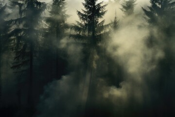 A plane is seen flying through a dense forest. This image can be used to depict adventure,...