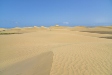 Fototapeta na wymiar Sanddünen auf der Insel Gran Canaria / Spanien