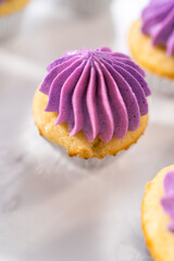 Mini Vanilla Cupcakes with Pink Buttercream Frosting