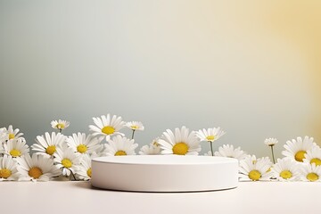 Premium stage for showcasing product, with daisies