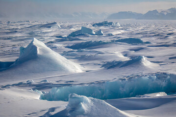 A massive iceberg floats in the icy waters of the polar regions. Its jagged edges and towering...
