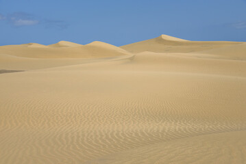 Fototapeta na wymiar heiße Sanddünen / Wüste auf Gran Canaria