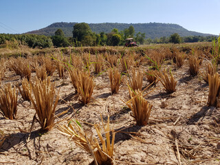 Dry soil is difficult to plow.