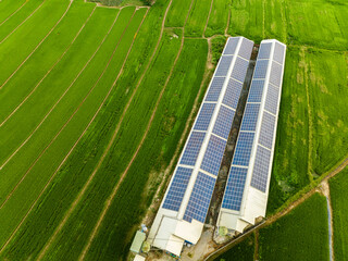 Overlooking farm paddy fields and solar farms