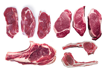 Raw Beef Shanks with Bone stock photo | raw meat on white background