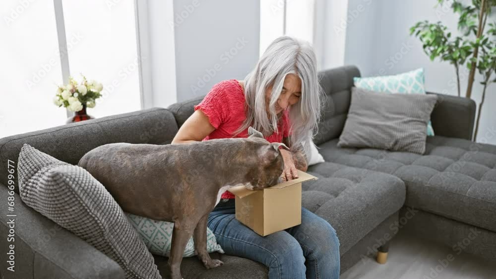 Poster joyful middle age woman, with grey-haired and dog, happily unpacking a ball package on her comfortab