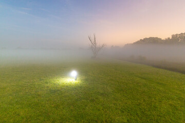 Eerie picture of a field with a bright light on it with a creepy dry tree in the background in the...