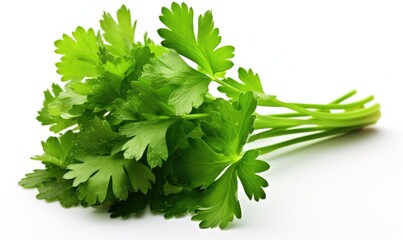 Parsley isolated on white background. Clipping path included.