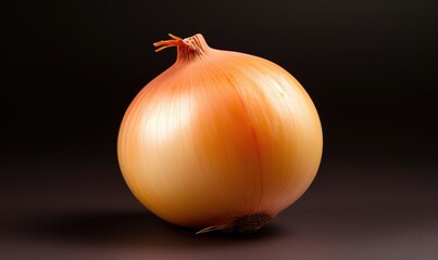onion on a dark background, close-up, studio shot