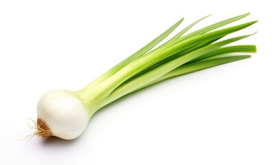 Fresh spring onions isolated on a white background. 