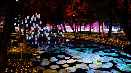  Nasatta Light Festival Winter Illumination 2024.