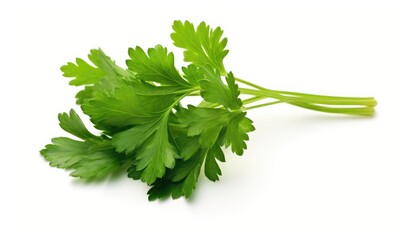 Parsley isolated on white background. Clipping path included.