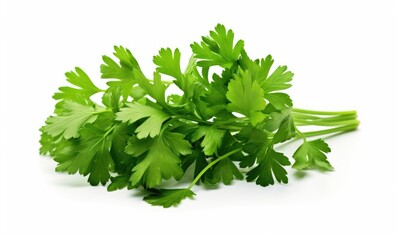 Parsley isolated on white background. Culinary ingredient for cooking