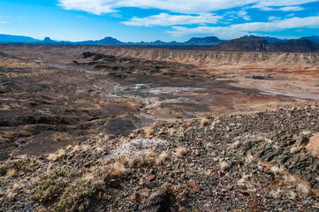 Desert landscape in a rock desert with drought-tolerant cacti, yuccas and agaves in Big Bend NP