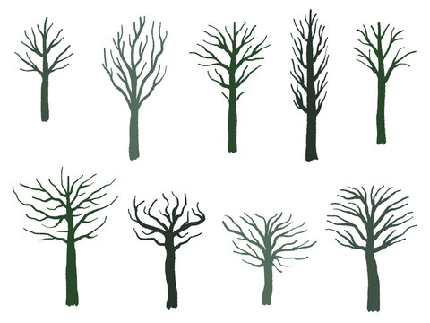PNG tree shape set - barren tree silhouette illustration collection. PNG objects with transparent background.
