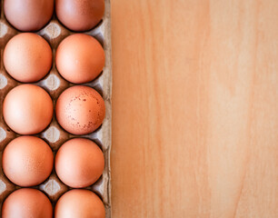 Eggs in a gray container,  holding afresh organic egg