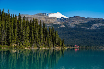 Fototapeta na wymiar lake in the mountains bow lake Canada 