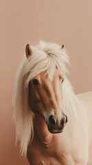 Ultra minimalism photography of a horse, pastel color phone background created with Generative Ai