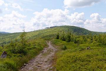 Krajobraz Beskidów ze szlaku na Baranią Górę