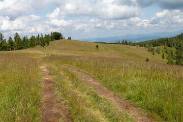 Fototapeta na wymiar Krajobraz Beskidów ze szlaku na Baranią Górę