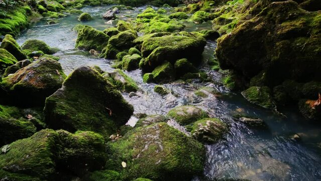 Forest creek flowing among stones covered by green moss filmed in slow motion at autumn day. Landscape of small cascade in woodland of Mingrelia region in Georgia. Trekking during weekend theme