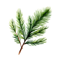 Tannenzweig Aquarell Grün Weihnachtsschmuck Natur Illustration Handgemalt Botanik Zweig Wandkunst Festliche Dekoration Geschenk