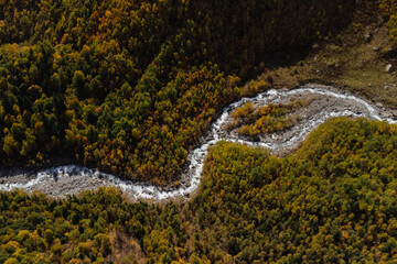 a mountain river in a colorful autumn forest