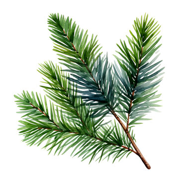 Tannenzweig Aquarell Gr&uuml;n Weihnachtsschmuck Natur Illustration Handgemalt Botanik Zweig Wandkunst Festliche Dekoration Geschenk