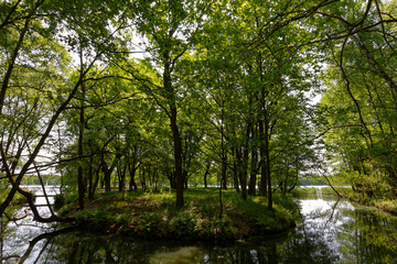 Fototapeta na wymiar Kępa drzew nad jeziorem oddzielona strumieniem.