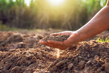 Farmer hands hold soil to check the quality of the soil in the field