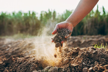 Farmer hands hold soil to check the quality of the soil in the field