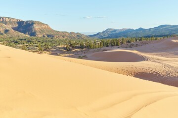 The stunning Coral Pink Sand Dunes State Park in southern Utah