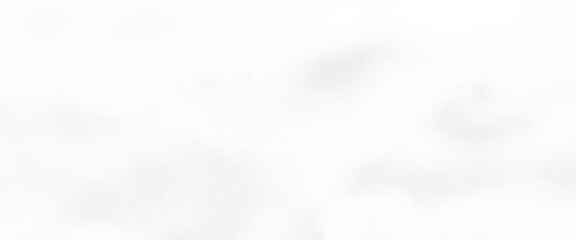 Vector Blur gray leaves with bokeh, abstract background, gray gradient, white Pastel background Used in a variety of design