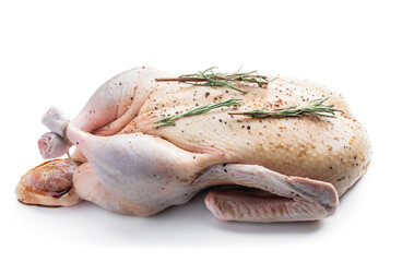 Raw whole duck with spices and marinade isolated on white. Ready to cooking