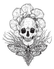 Fototapeta premium Hand-drawn surrealistic human skull with bones, branches and moth