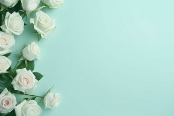 white roses on monochrome background, minimalism, pastel colors
