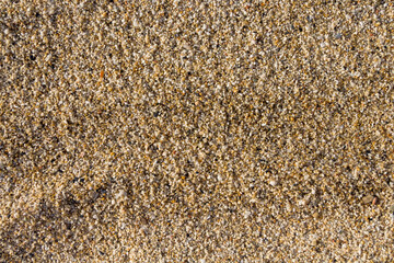 Small stones on the sandy beach of Cleopatra in Alanya (Türkiye). Sandy beach background. Sand texture on the beach. Sandy beach top view.