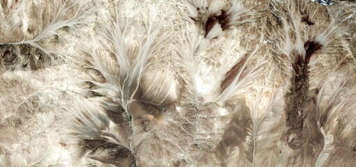 wintering plants,  photographs of the frozen regions of the earth from the air, abstract naturalism.