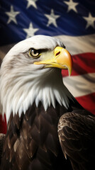 American bald eagle and american flag