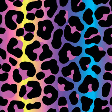 leopardo color 
